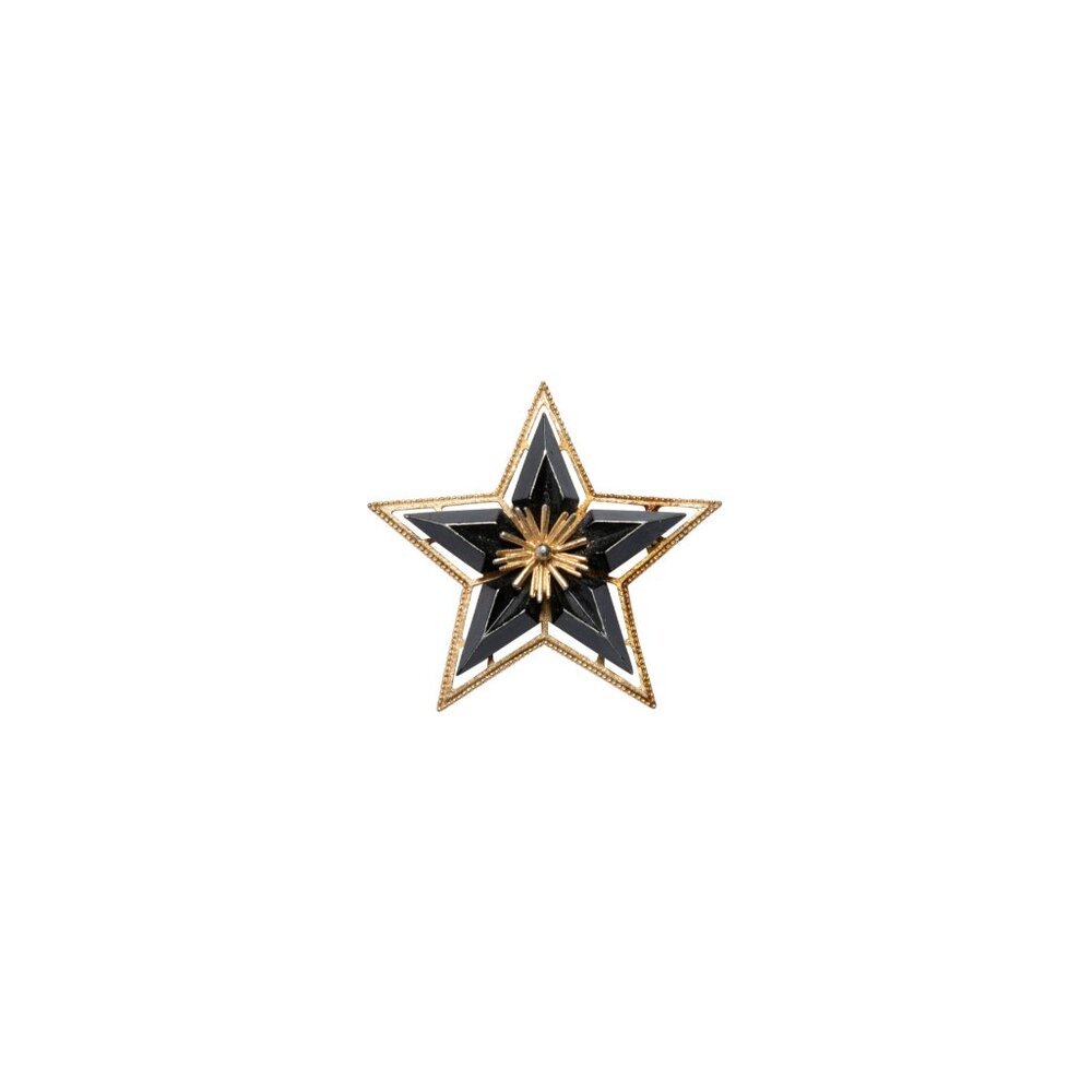 Charles Frederick Worth (France) Vintage, Brooch, Morning Star
